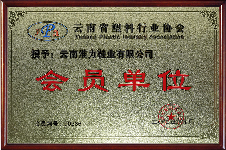 Qualification & Honors