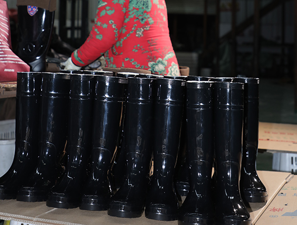 Video Presentation 5